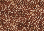 Brown Giraffe
